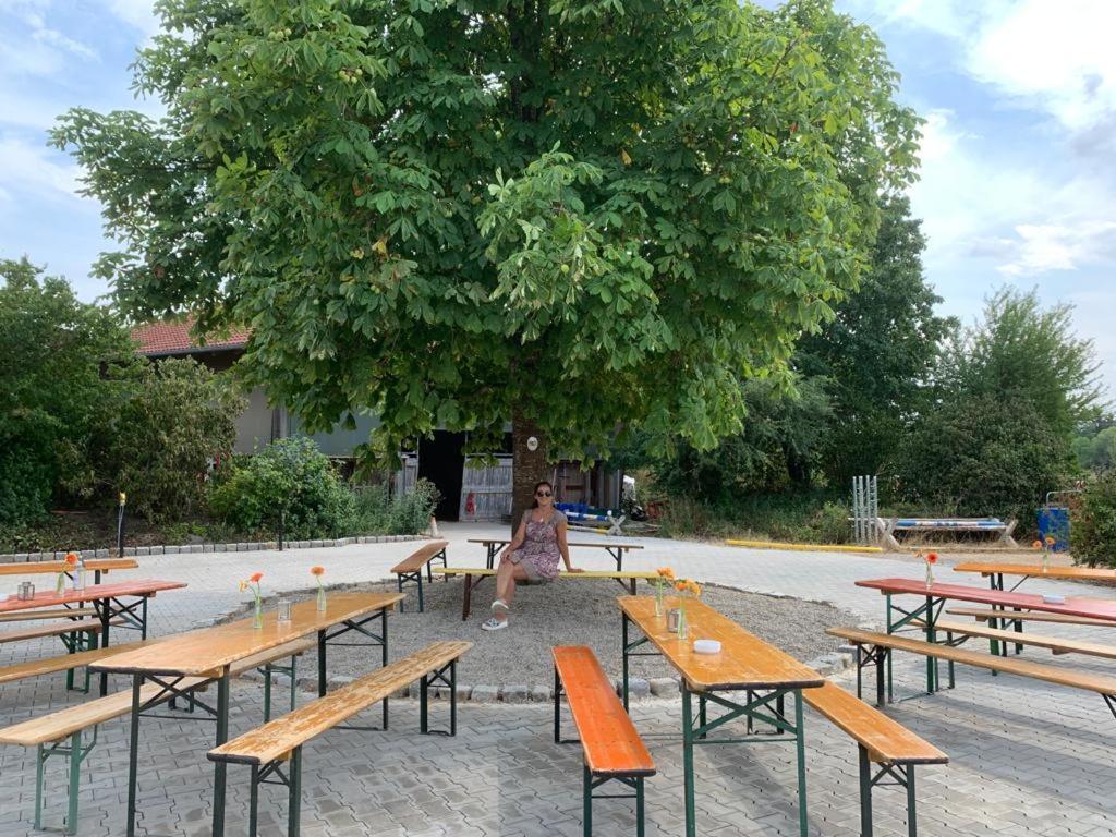 Reitschule Kronwitter Mainbernheim Exterior photo